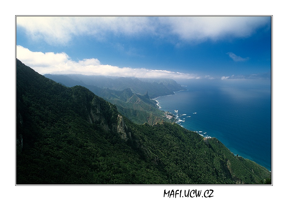 canaria06_03_09 .jpg